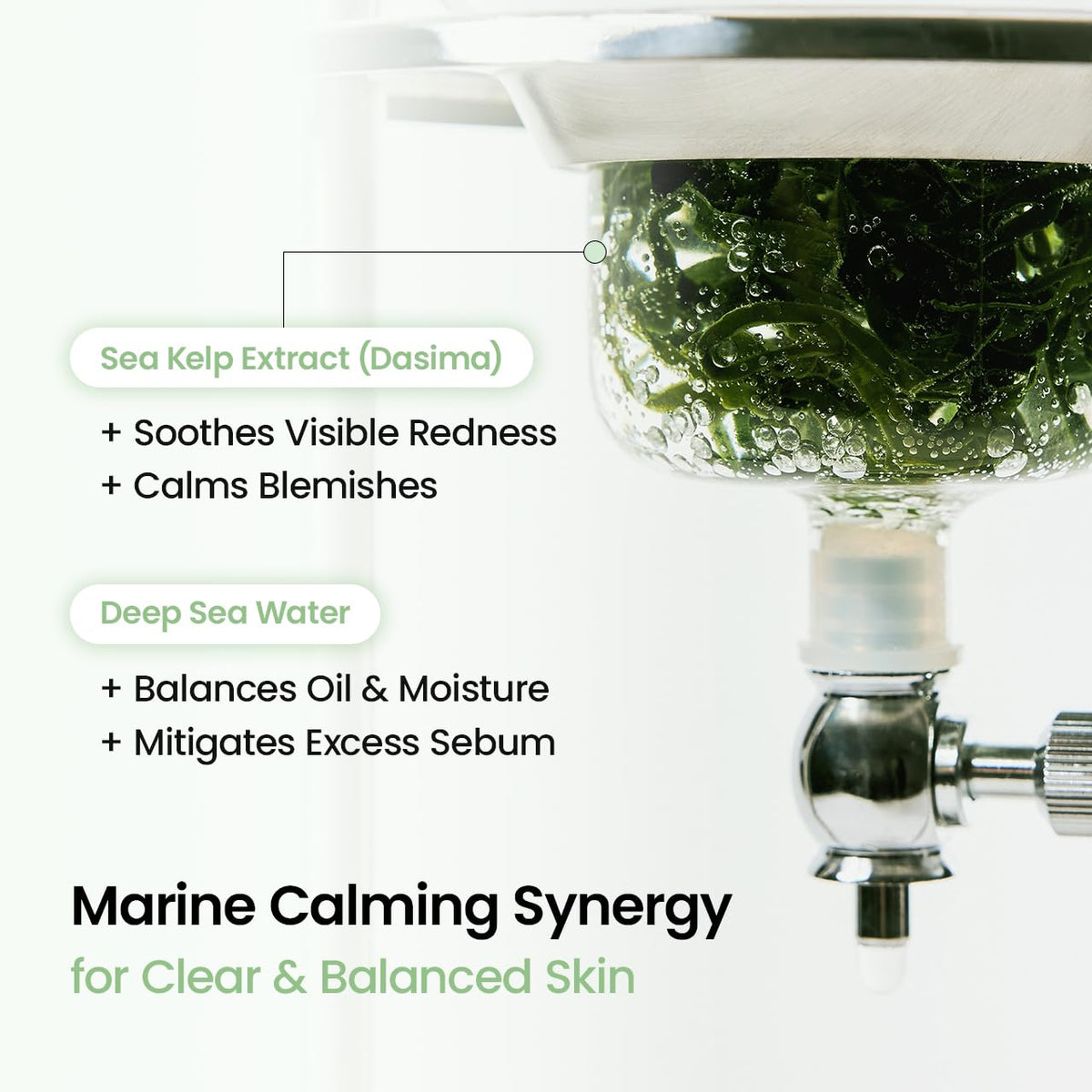 Biodance Refreshing Sea Kelp Real Deep Mask 1 Box of 4 Sheets product detail image 3